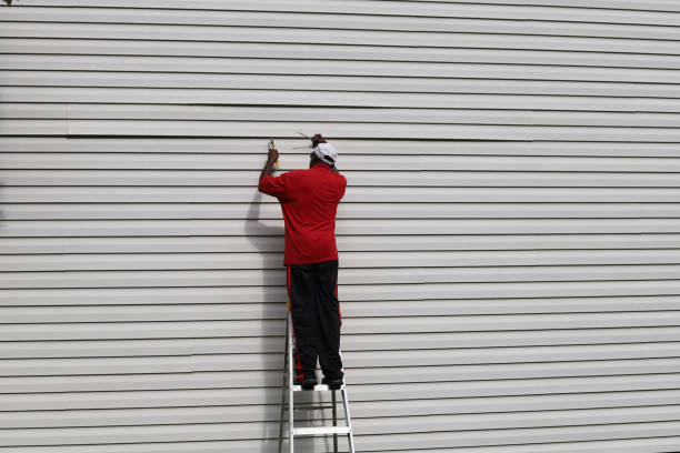 Best Siding for Commercial Buildings  in Sidney, MT