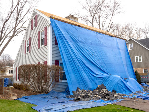 Best Storm Damage Siding Repair  in Sidney, MT